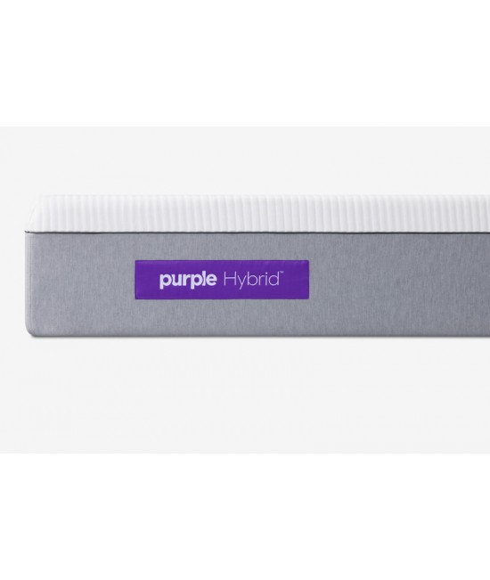Purple Hybrid